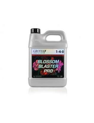 Bloson Bloster Pro