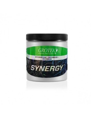 Sinergy