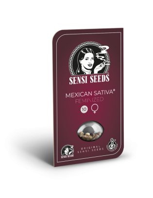 Mexican Sativa