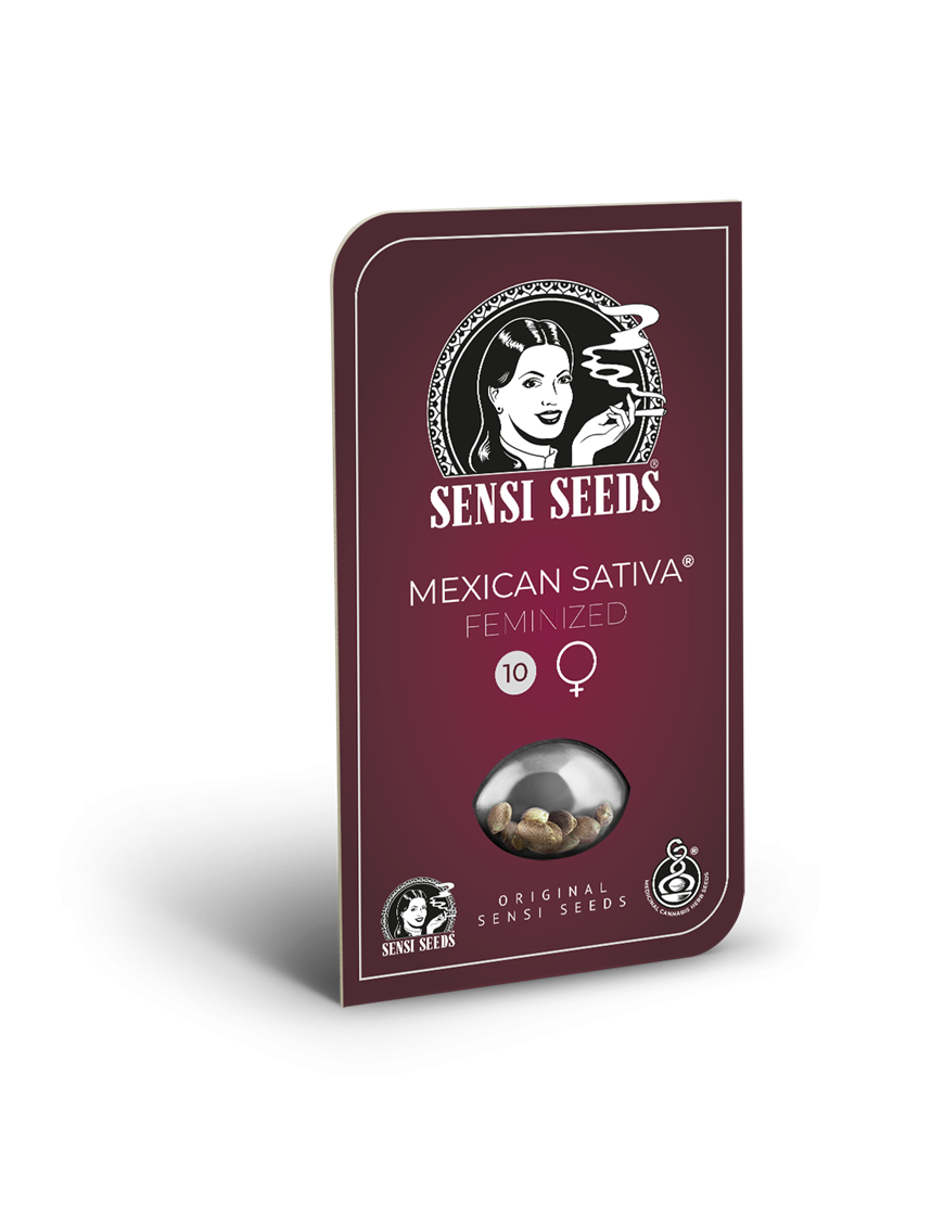 Mexican Sativa