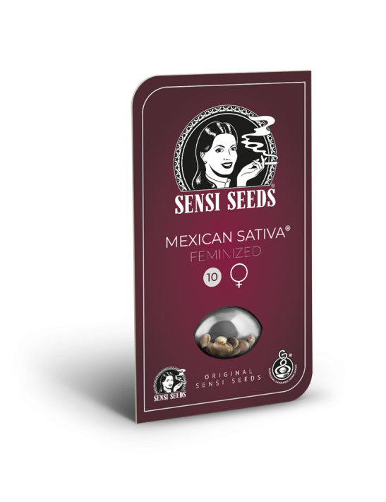 Mexican Sativa