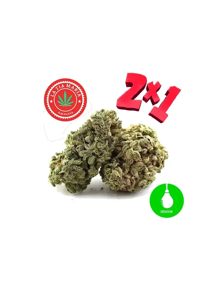 2x1 Amnesia