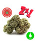 2x1 Amnesia