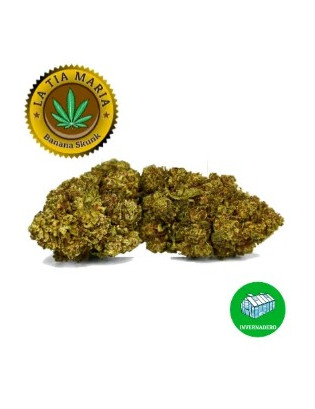 Banana Skunk