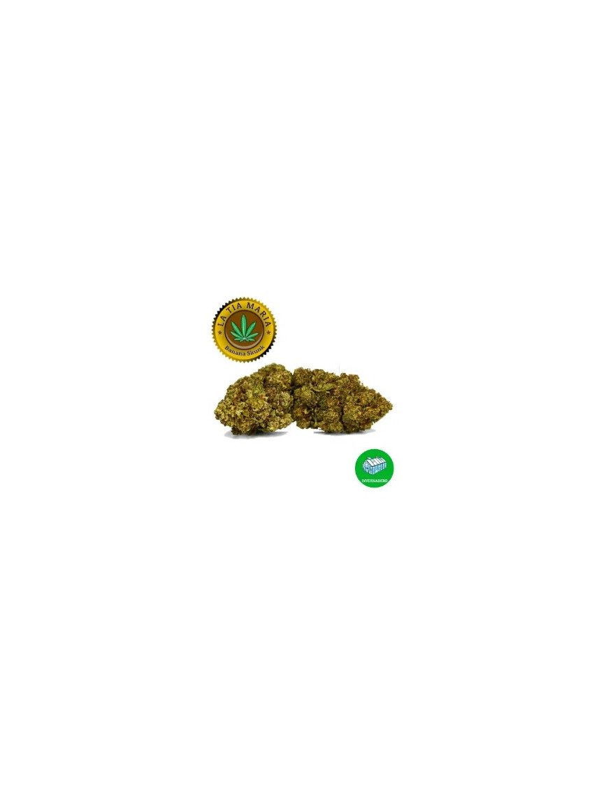 Banana Skunk