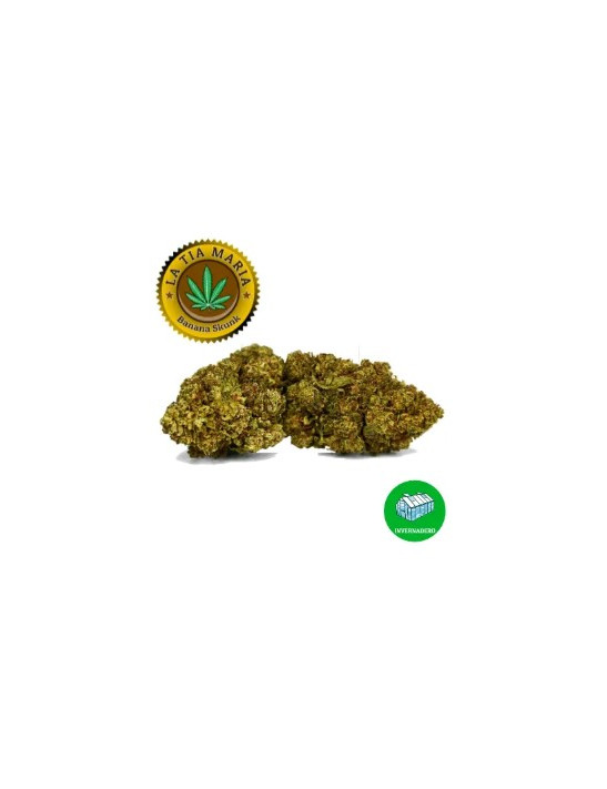 Banana Skunk