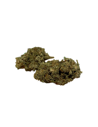 2x1 Orange