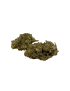 2x1 Orange