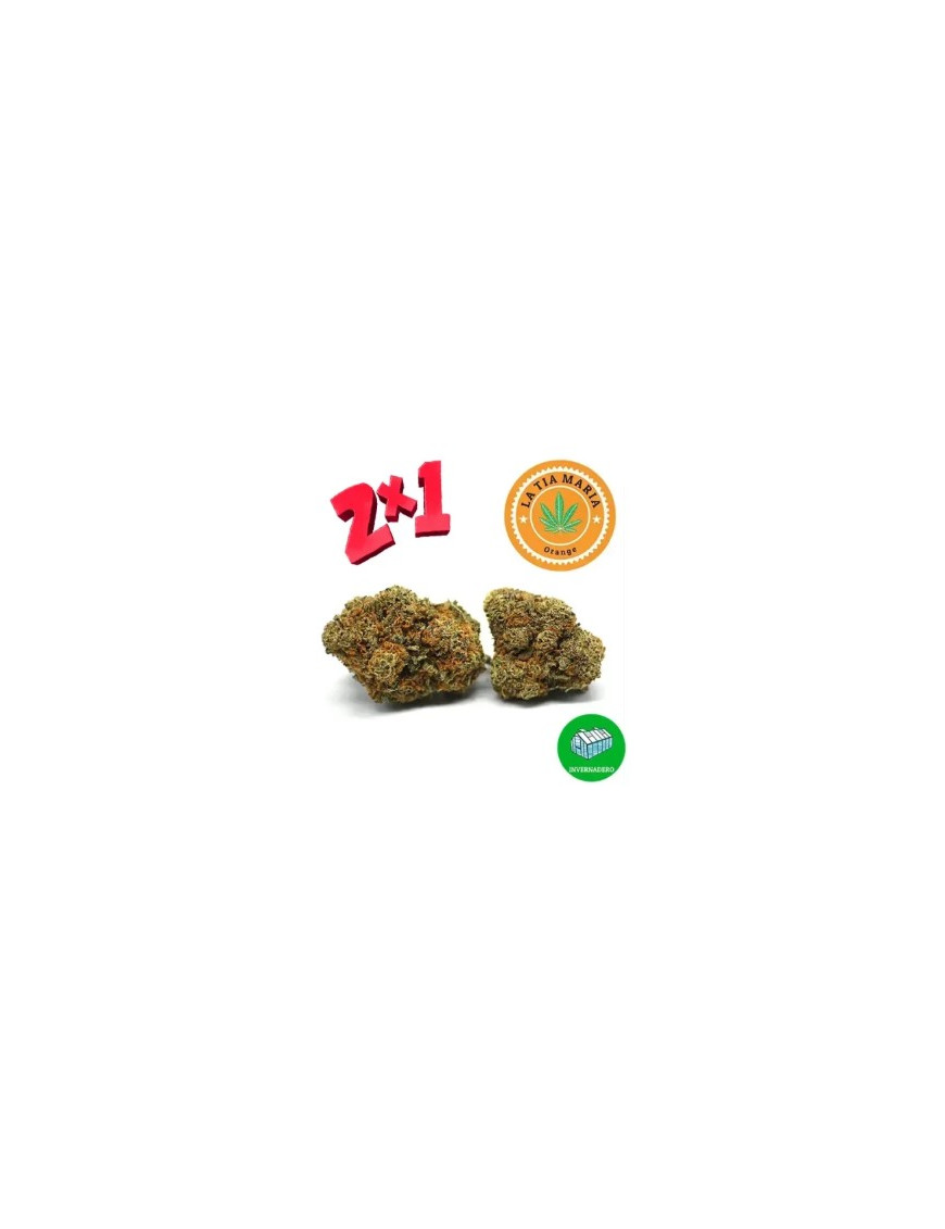 2x1 Orange
