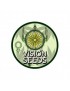 Vision Seeds