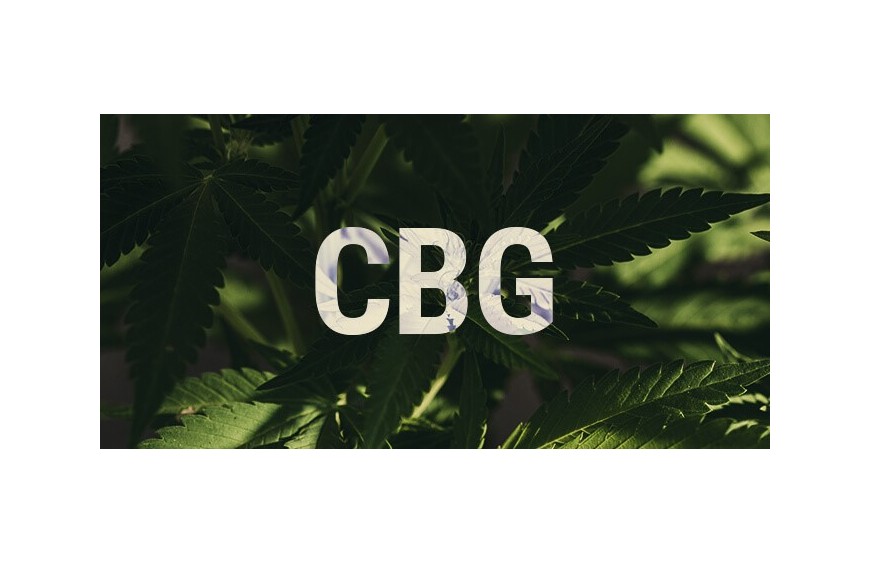 Diferencia entre el CBD y CBG