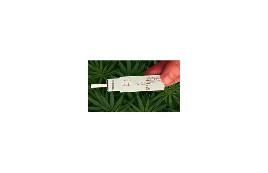 ¿Daré positivo en un test de drogas si he consumido CBD?