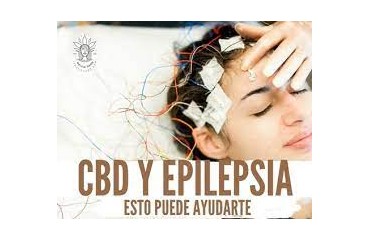 EL CBD Y LA EPILEPSIA