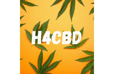 ¿Qué es el H4CBD y en qué se diferencia del HHC?