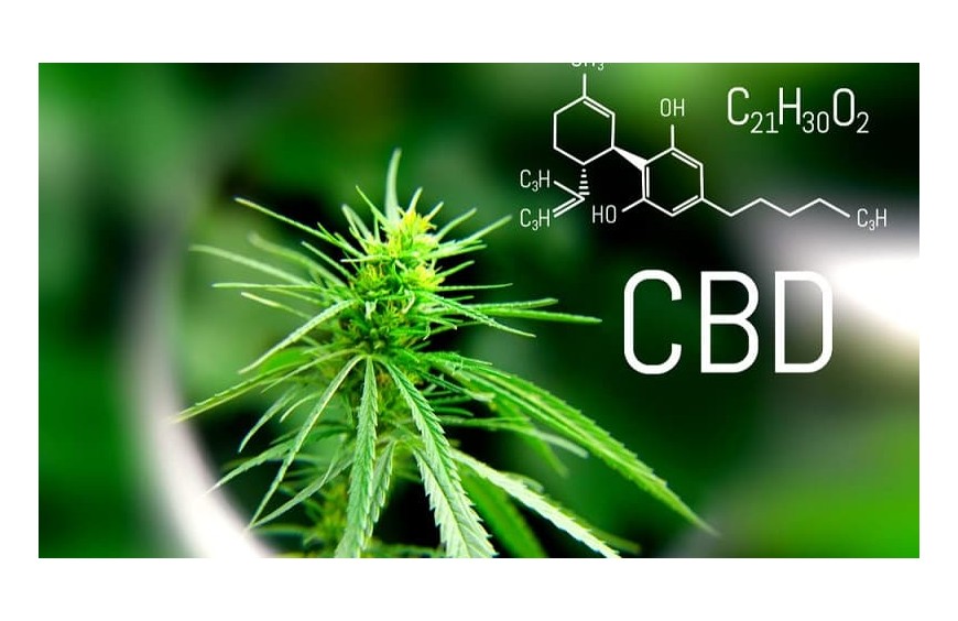 ¿Qué es el CBD?